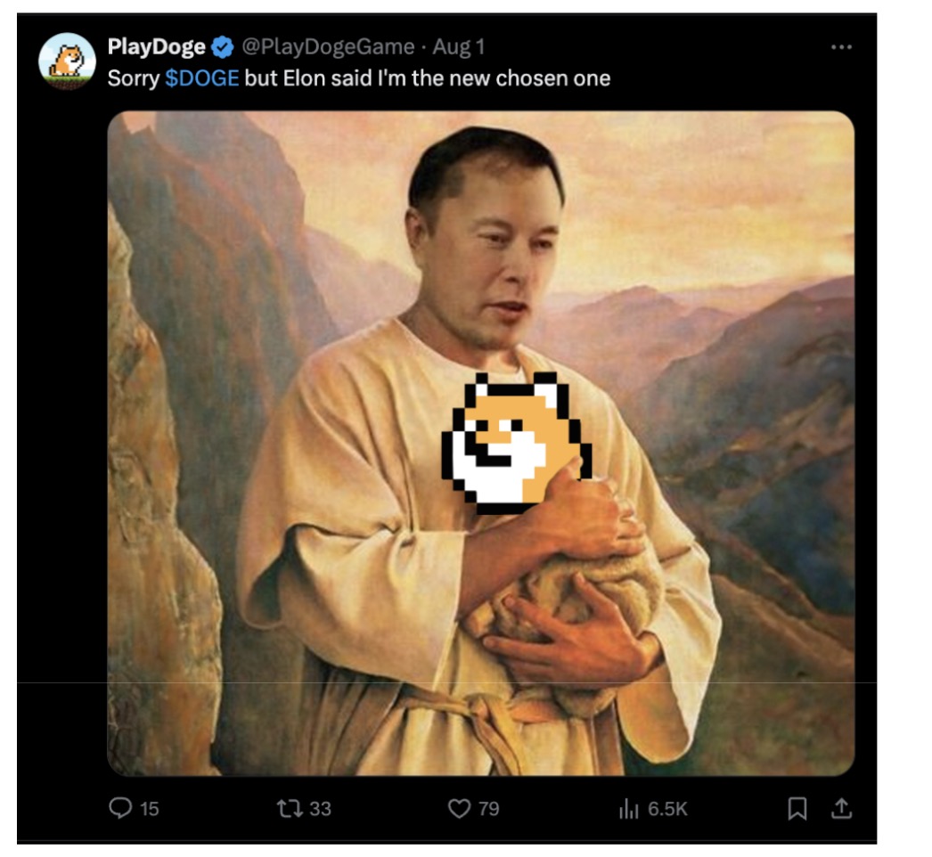 Tweet PlayDoge com piada sobre Elon Musk