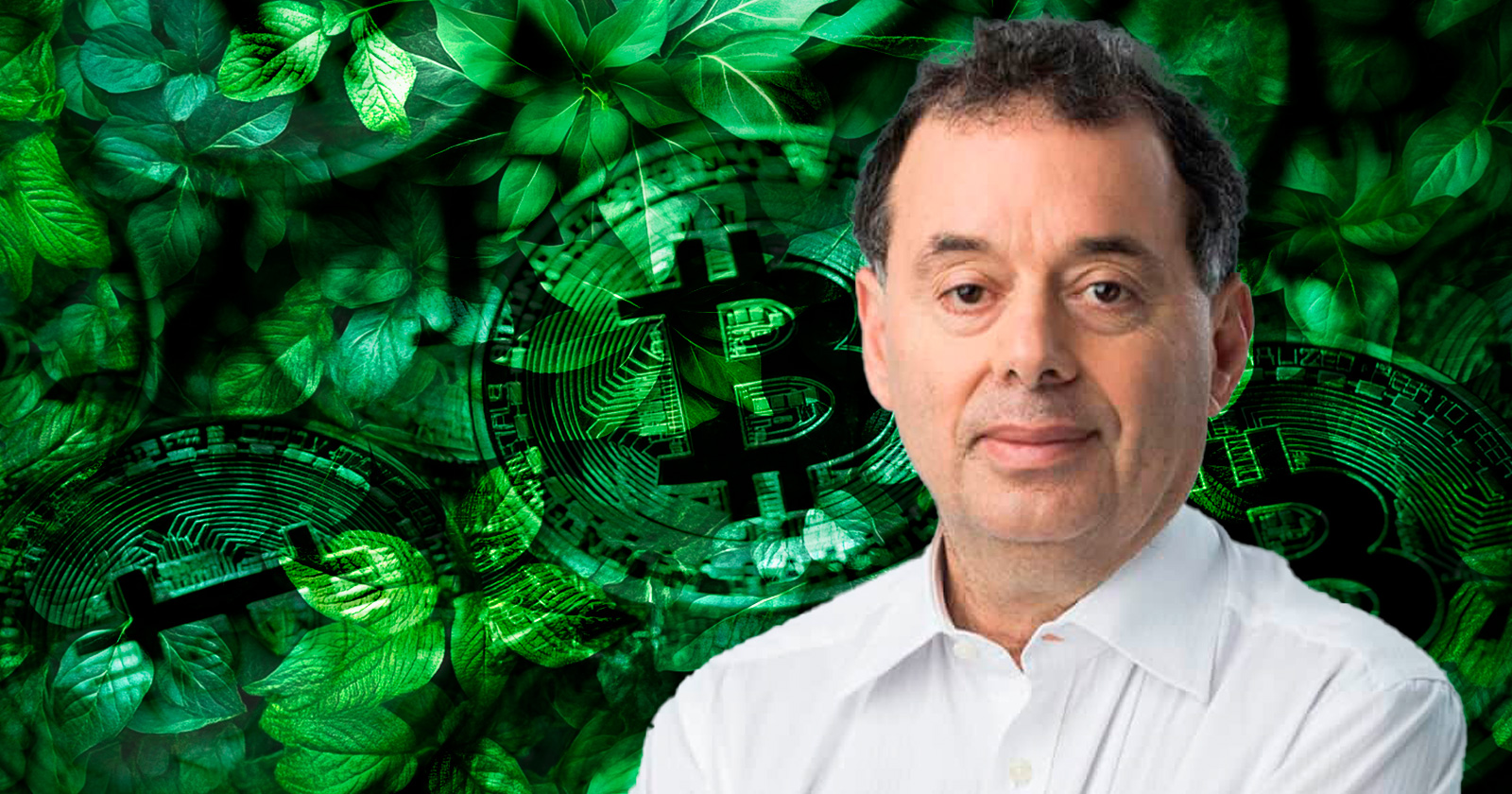 fundo-verde-luis-bitcoin