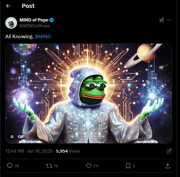 mind of pepe post