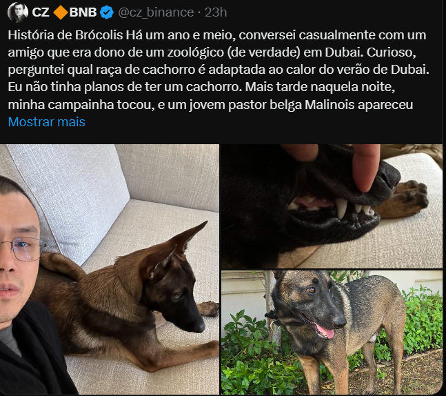 O tweet detalha uma conversa do autor com um amigo que possui um zoológico em Dubai sobre qual raça de cachorro se adapta melhor ao calor desse ambiente. O autor não planejava ter um cachorro, mas mais tarde naquela noite, enquanto sua campainha tocava, um jovem pastor belga Malinois apareceu. A imagem mostra o autor com o cachorro fazendo carinho, e as outras duas fotos mostram o Malinois em diferentes ângulos, destacando sua pelagem e características físicas.