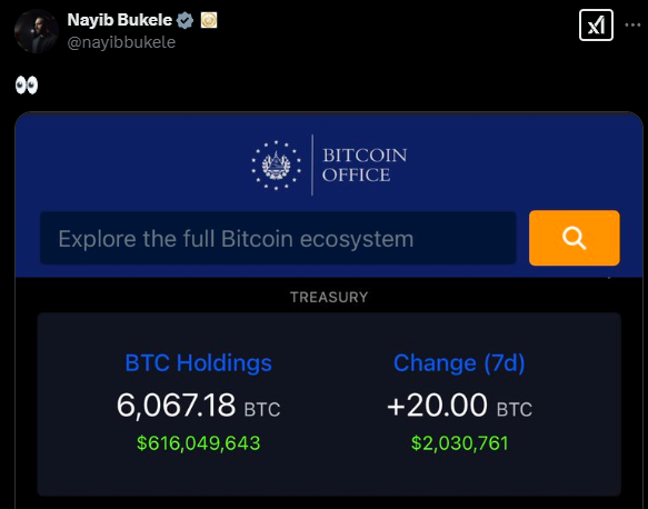 Nayib Bukele's tweet presenteert informatie van "Bitcoin -kantoor"het benadrukken van de bitcoin -activa van het land. Het laat zien dat de reserves in totaal 6,067,18 BTC, met een waarde van ongeveer $ 616 miljoen, en dat er in de afgelopen zeven dagen een toename is geweest van 20 BTC, overeenkomend met ongeveer $ 2 miljoen. De interface nodigt gebruikers uit om het hele Bitcoin -ecosysteem te verkennen.