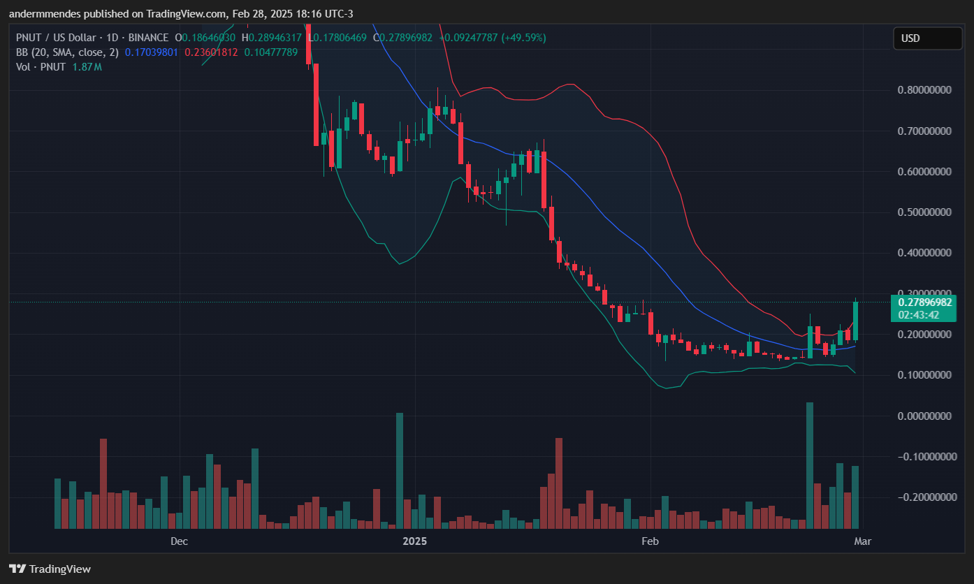 Gráfico da Peanut the Squirrel (PNUT) no TradingView